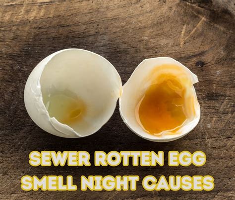 Unraveling Sewer Rotten Egg Smell Night Causes A Guide The Recipe