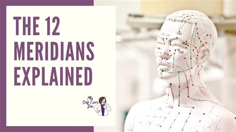 The 12 Meridians Explained My Self Care Doc Holistic Pro Aging