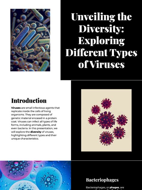 Different Types of Viruses | PDF