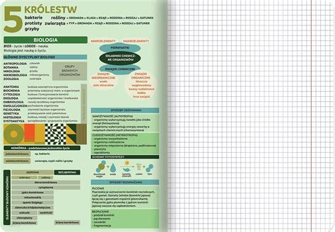 Top 2000 Zeszyt Ze Ściągami A5 60K Kratka Biologia 70G 400169460