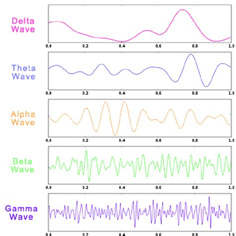 The Main 5 Brainwaves Download Scientific Diagram