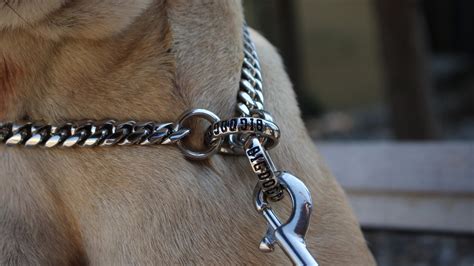 Luxury Gold Dog Collars and Leashes - BIG DOG CHAINS – BIG DOG CHAINS