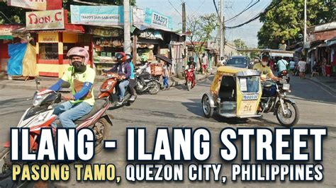 ILANG ILANG STREET In Pingkian Village Quezon City Metro Manila