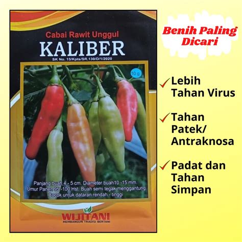 Jual Benih Bibit Cabe Rawit Setan Kaliber 10g Dari Wijitani Shopee