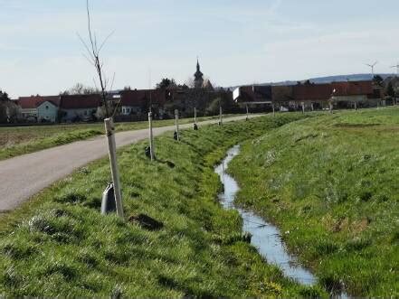 Infrastruktur Pillichsdorfer K Nnen Sich Ber Neue Geh Und Radwege