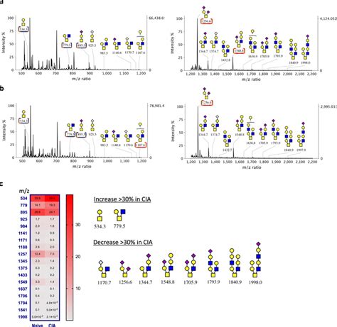 MALDI TOF MS Profiles Of The Permethylated O Linked Glycans Derived