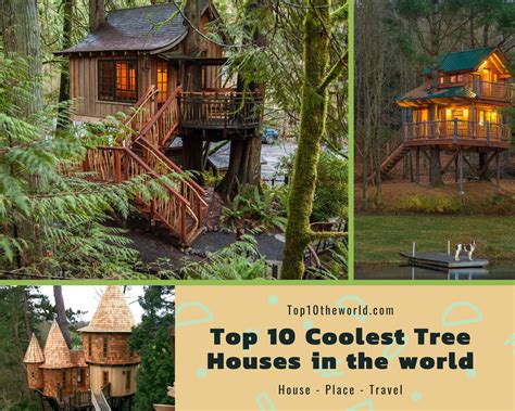 Top 10 Coolest Tree Houses In The World