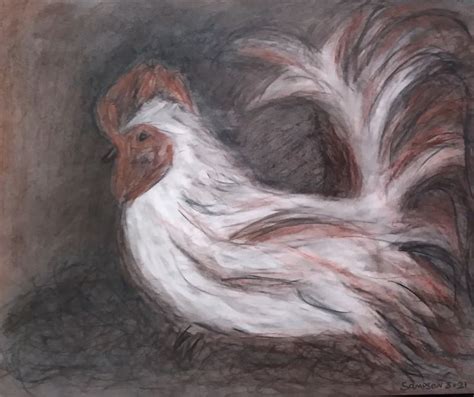 Rooster Charcoal Drawing Drawings Charcoal Drawing Artwork