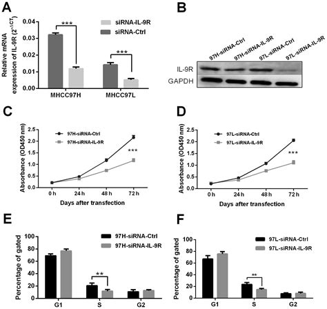 High Expression Of Il R Promotes The Progression Of Human