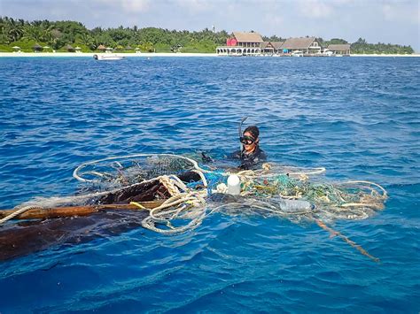 TAAKEY Turtle Rescue Rehabilitation In The Maldives