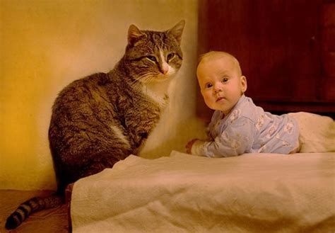 Baby Vs Cat 22 Cutest Photos Shows Beautiful Relation Of Human