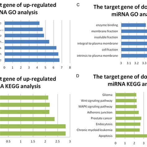 Go And Kegg Analysis Of Target Genes Of Differentially Expressed Mirna