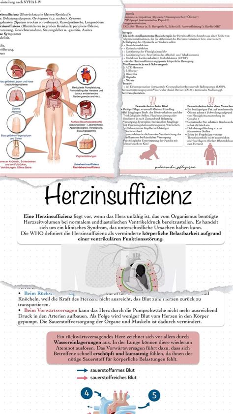 Herzinsuffizienz Zusammenfassung Lernzettel Etsy De