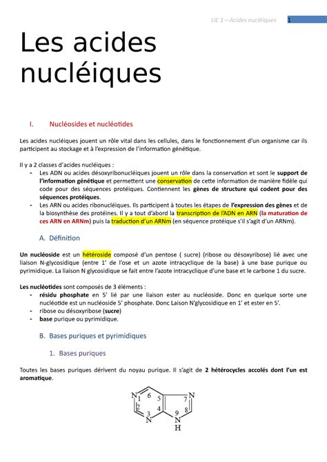 Structure Des Acides Nucl Iques Les Acides Nucl Iques I Nucl Osides