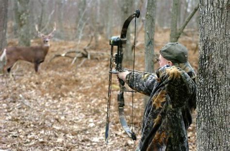 6 Amazing Cow Elk Hunting Tips You Don't Know