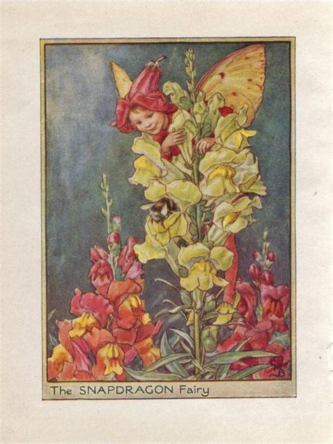 An Illustration Of A Flower With A Fairy Sitting On Its Head And The