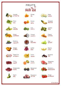 FRUITS Thai English Vocabulary By Language Forum TPT