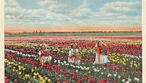 Early sign of spring brings back Tulip Festival memories - Washington ...