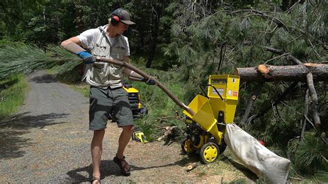 Champion 338cc Chipper Shredder Review And Use Youtube