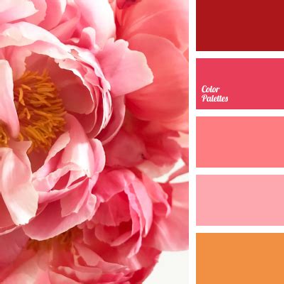 Pink Coral Color Swatch