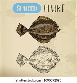 Fluke Logo Vector (.EPS) Free Download