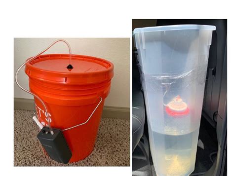 A Novel Approach To Ornamental Fish Transportation For The Aquarium