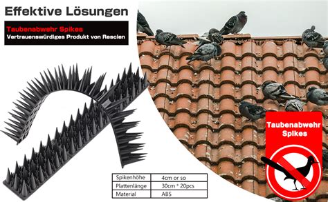 M Taubenabwehr Vogelabwehr Spikes St Ck Taubenspikes Taubenschutz