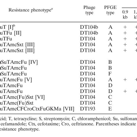 Main Resistance Phenotypes Of Serotype Typhimurium 1989 1997 Download Table