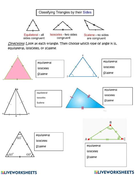 Types Of Triangle Activity Triangle Worksheet Worksheets Worksheet