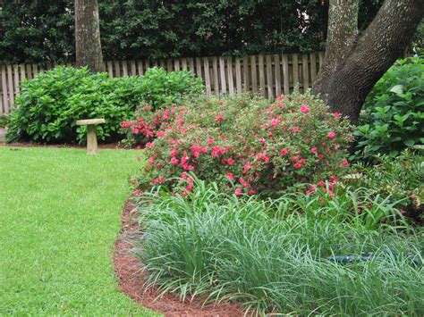 When And How To Prune Azaleas Artofit