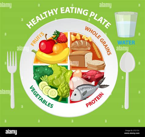 Healthy Eating Plate With Balanced Portions Illustration Stock Vector