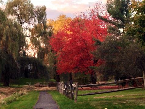 Autumn in New England | New england, Favorite places, England