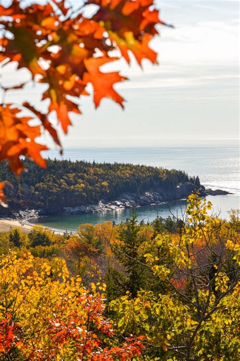 Weekend Guide To Acadia National Park And Bar Harbor