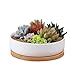 Succulent Planter Ceramic Pot Y M Tm Inch Modern White Ceramic Round