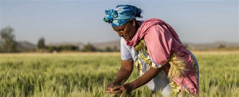 Assemblées annuelles 2023 à Charm el Cheikh la Banque africaine de