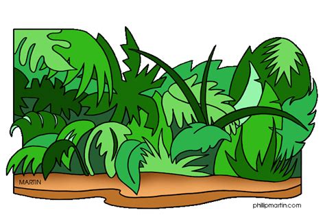 Rainforest Rain Forest Clipart Wikiclipart