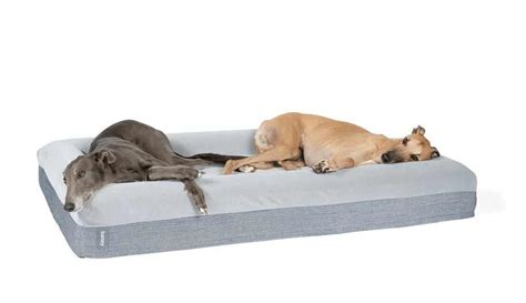 Barney Bed Luxury Dog Beds Designed in Australia