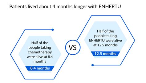 Navigating the Journey of ENHERTU in Cancer Management