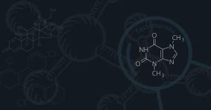 Steroid Cycles Anabolic Basics For Beginners Guide Steroid Reviewer