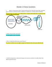 Module 13 COMPLETED Docx Module 13 Study Questions 1 What Is A