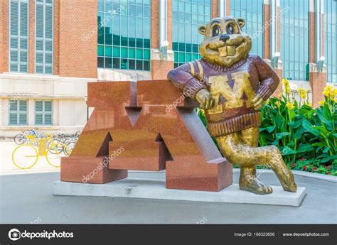 Goldy Gopher Mascot at the University of Minnesota Stock Illustration ...