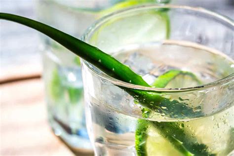 Aloe Vera and Coconut Water Drink Recipe For Heartburn - How to Treat ...