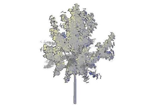 3d Tree Dwg Cadblocksfree Thousands Of Free Cad Blocks