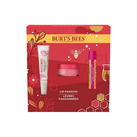 Burts Bees Lip Passion Set Lip Balm Passion Fruit Overnight Lip Treatment Hydrate Lip Oil