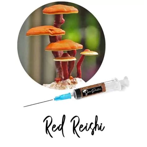 Ganoderma Lucidum Liquid Culture Syringe Reishi Mushrooms