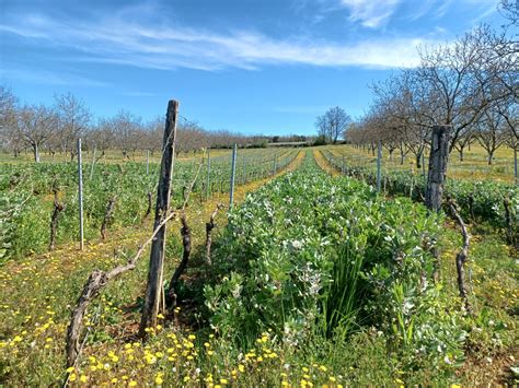 Nos Pratiques Coteaux De Glanes