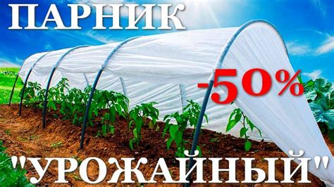 Парник урожайный со скидкой 50% | Полный видео обзор - YouTube