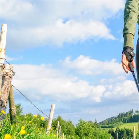 Brustkrebspatientinnen Leben L Nger Bei Gesundem Lebensstil Onko