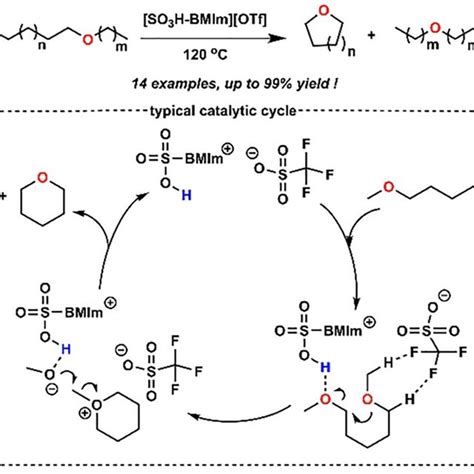 SO 3 H BMIm OTf Catalyzed Ring Closing C O C O Metathesis Of