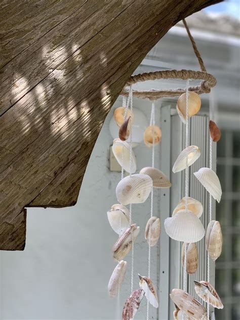 Real Sea Shells Wind Chimes Florida Seashells Olive Shell Etsy